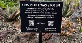 The Huntington Botanical Gardens Has A Plant Theft Issue