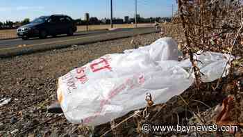 California Gov. Newsom signs law banning all plastic shopping bags at grocery stores