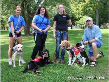 Friendly, frolicking fur babies focus of fundraiser