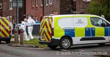 Bodies of woman and eight-year-old girl found in house