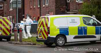 Bodies of woman and eight-year-old girl found at house