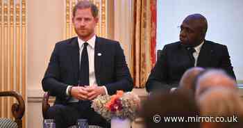 Prince Harry thanked for his 'leadership, heart and for continuing Princess Diana's legacy'