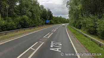 Woman and four runaway horses die in road horror