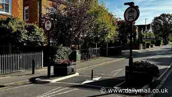 The covid-era council bollard that is KILLING a once-thriving town: 'No one is listening to us!'