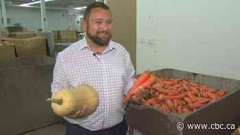 Harvest looking into potential centre to 'rescue' food headed to landfills for Manitobans in need