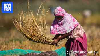 As India tries to feed the world's largest population, can Australia meet its fertiliser needs?