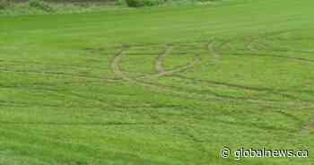 ‘Low-lives’: Langley sod farmer furious after vandals do $50K in damage