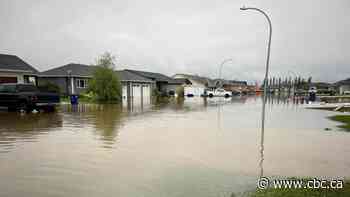 'I never thought this would happen to me': Flooding forces Kleefeld resident out of her home