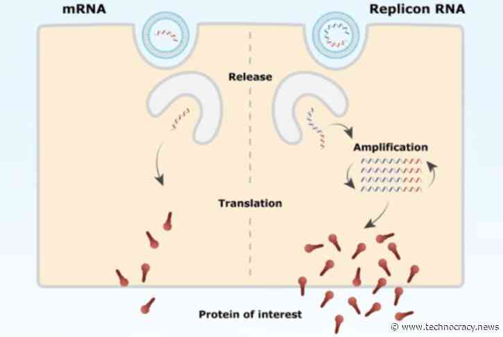 Japan Warns ‘Self-Amplifying mRNA Vaccines’ Will ‘Trigger Worldwide Disaster