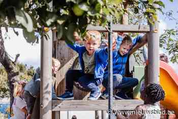 Mariaschool Grobbendonk sleept label ‘Groene Oases’ in de wacht: “Op de speelplaats komt een schaduwboom”