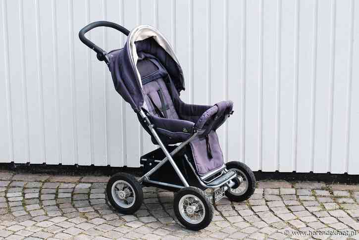 Ingezonden artikel: Kinderwagens en buggy’s: wat je moet weten als (aanstaande) ouder in Haren