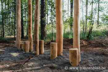 Nieuw speelbos Bleke Heyde bijna klaar om op 9 oktober feestelijk te openen