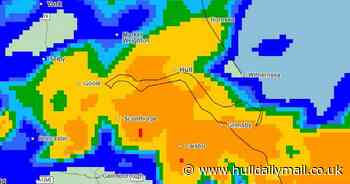 Autumnal blast on the way as Met Office issues weather warning for Hull and East Yorkshire