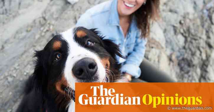 I decided to spend a day as a dog. It was completely idyllic, at first ... | Emma Beddington