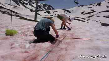 Verschiedene Faktoren nötig: Wie Blutschnee in den Alpen entsteht