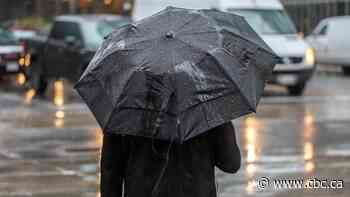 Rainfall warning in effect for Waterloo region, Guelph and Wellington County with up to 50 mm possible