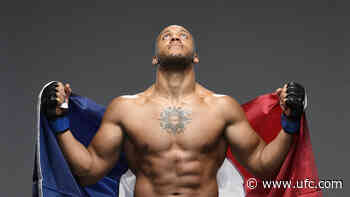 UFC Fighters Who've Called France Home