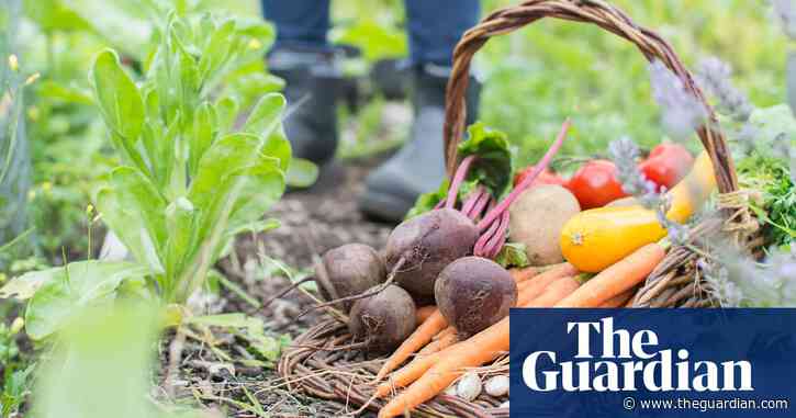 Residents near Lancashire chemicals plant told to wash homegrown produce