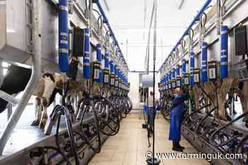 Recruiting staff on dairy farms now harder than ever, survey shows