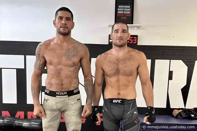 Alex Pereira reveals Sean Strickland joining UFC 307 fight camp