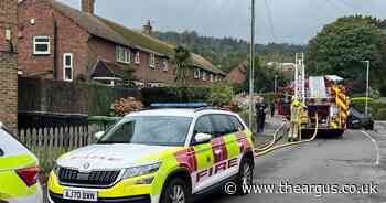 Dog rescued from house fire