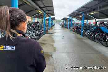 Parket vraagt acht maanden cel voor fietsendief