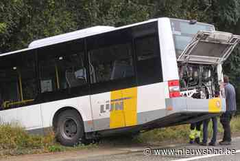 Geparkeerde bus van De Lijn bolt over gewestweg en komt in struiken terecht