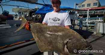 Canada announces deal with France on contentious Atlantic halibut fishery