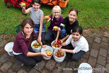 Aktion Heimatapfel: Ernten ist wie Schatzsuche