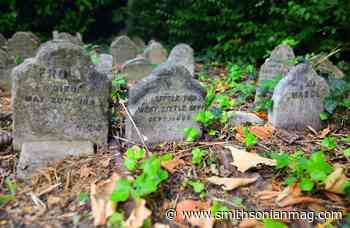 Why the World's First Pet Cemetery Was Revolutionary