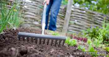 Urgent warning for gardeners to wash their produce after 'forever chemical' found in soil