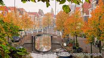 Wie die Tulpe nach Holland kam: zu Besuch in Leiden