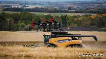 Alberta grain farmers anxiously watching as B.C. export terminal strike lands amid harvest