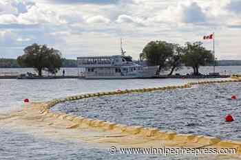 More zebra mussels turn up in Clear Lake