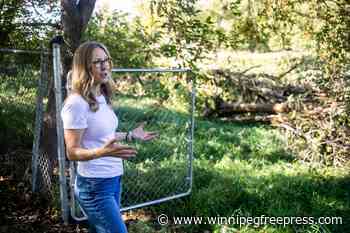 Dismay in Lemay: tree cutting begins in St. Norbert forest