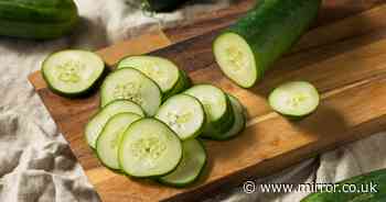 Simple cucumber storage hack keeps them 'fresh and crunchy' for weeks