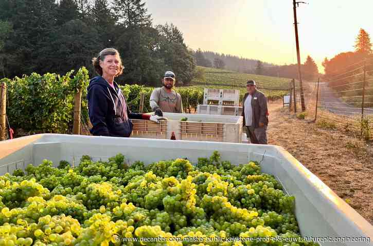 Pacific Northwest 2024: Wine harvest snapshot