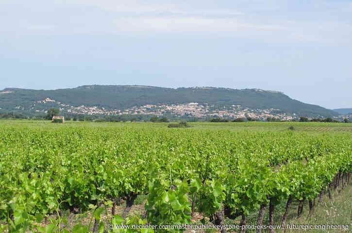 Laudun becomes the 18th cru of the Rhône Valley