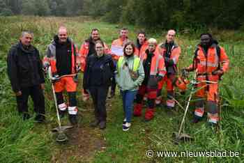 Groendienst Zwevegem kreeg workshop sinusbeheer