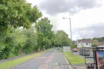 Teenagers found hiding in bushes after reports of balaclava burglary bid in Hartburn