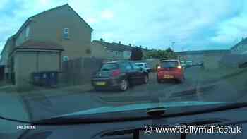 Moment Taser-wielding officer finally catches dangerous driver who tried to outrun the police in a one-litre Kia Picanto