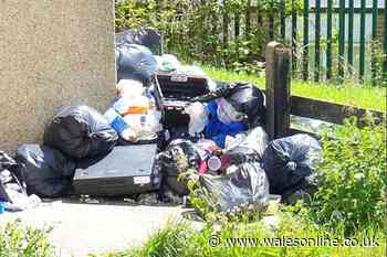 Big rise in fly-tipping in Swansea with mattresses, furniture and car parts among waste dumped