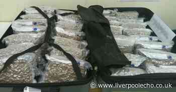 300kg of cannabis seized at London airports