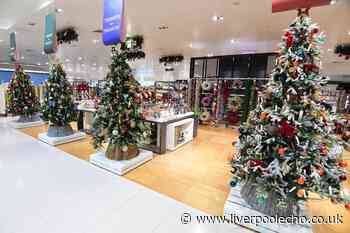 50 photos inside John Lewis' Christmas department for 2024