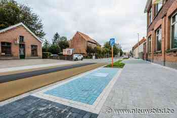 Minder chauffeurs parkeren op plaats voor personen met een handicap