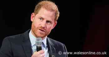 Prince Harry asks 'why?' when it comes to major decision made by governments