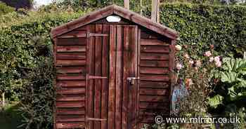 Gardeners told to leave one thing in their shed during autumn