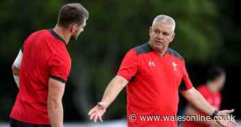 Dan Biggar was furious and hurt by Warren Gatland as he reveals relationship in book