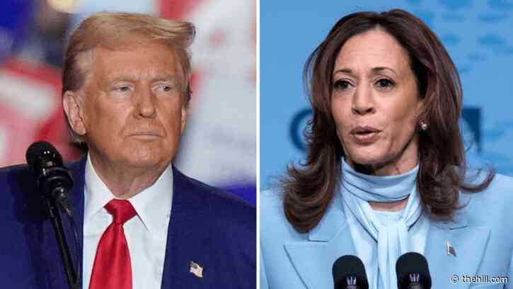 Harris holds 7-point lead over Trump in national survey