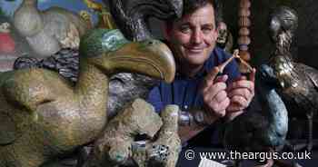 Rare dodo bone goes under the hammer for £23,000